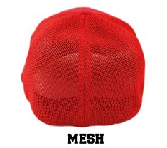 Mesh